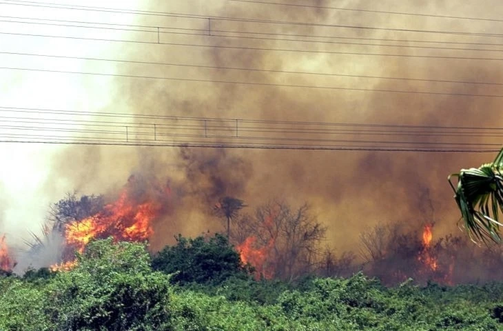 Comunidades indígenas brasileñas sufren incendios y sequía en el Pantanal: "Todo lo que siembras muere"