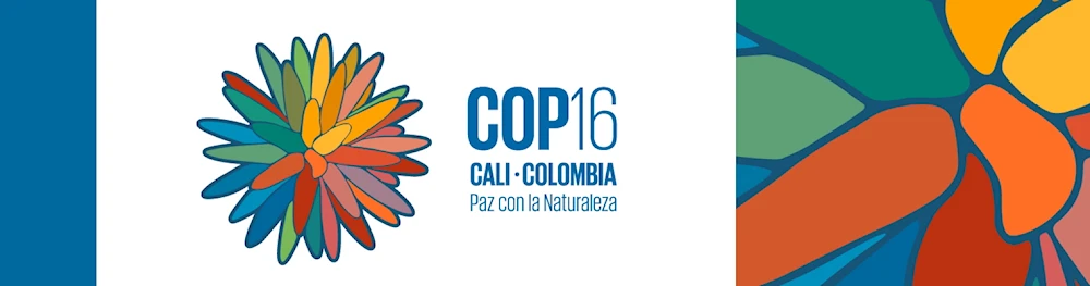 Jornada intensa en cumbre COP16 en Colombia