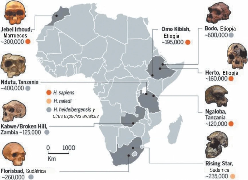 Reconstruyen hábitats de primeros homínidos en África