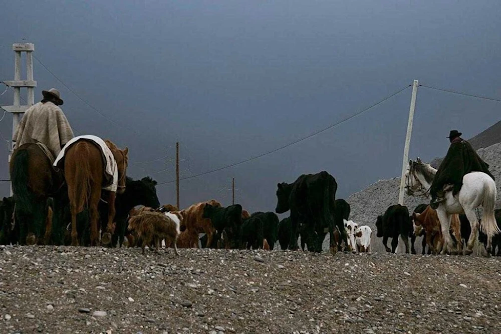 Argentina: poblaciones mapuches de Mendoza sufren los "aires" de Milei