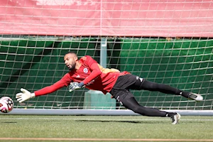 Selecciones suramericanas intensifican entrenamientos para la Fecha 11 de las Eliminatorias al Mundial de Fútbol 2026