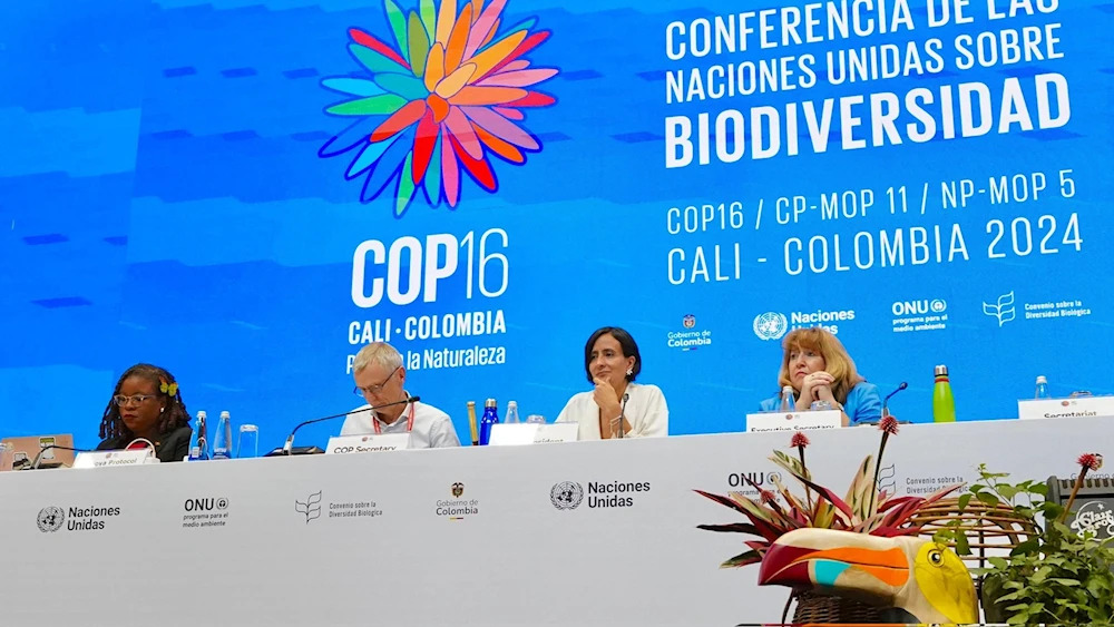 COP16 en Colombia finaliza sin acuerdo sobre financiación ambiental