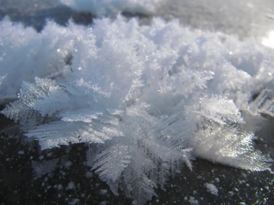 Flores de hielo: espectáculo visual y utilidad práctica