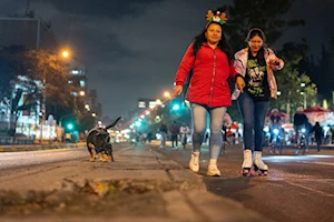 Decoraciones navideñas iluminan calles de Brasil y Colombia