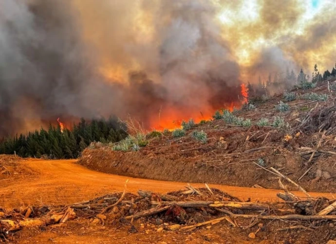 Varias comunas de Chile en Alerta Roja por incendios forestales