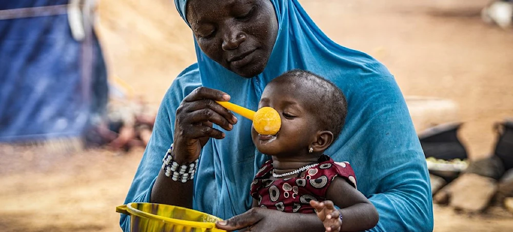 Nigeria topará exportaciones de maíz en medio de crisis alimentaria