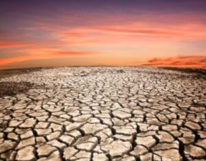 Aridez afecta tres cuartas partes de la tierra en el orbe