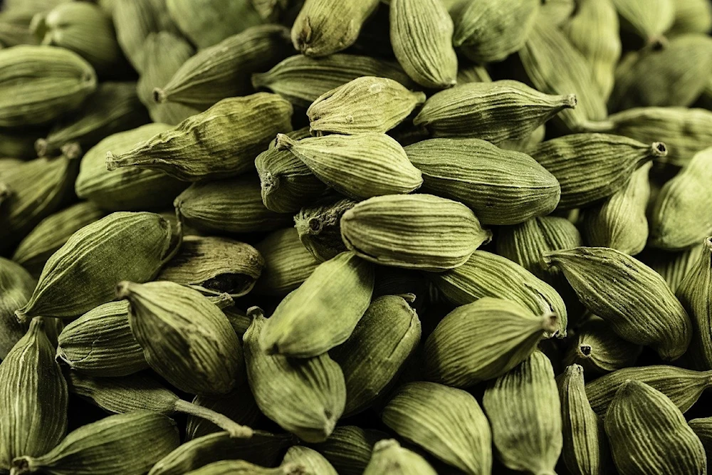 La cara oculta del cultivo de cardamomo en Guatemala