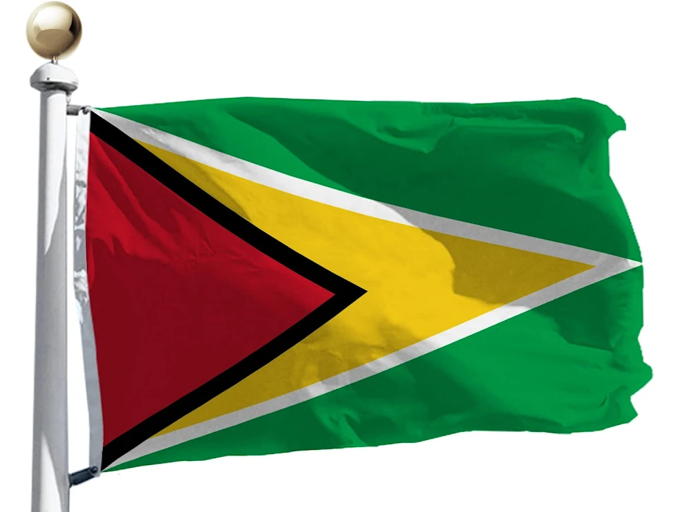 Guyana entre países con poco uso de energías renovables