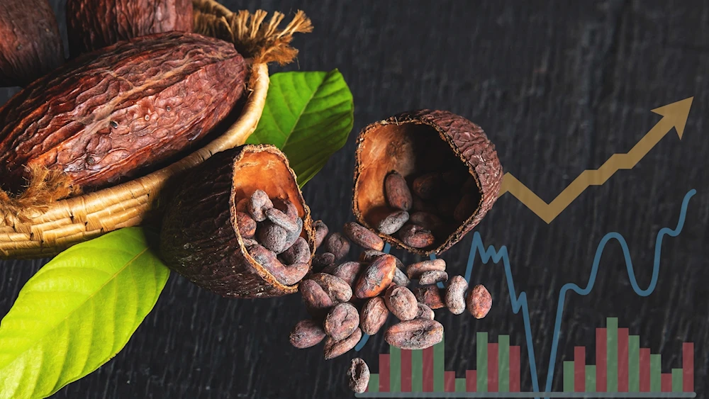 Crisis del cacao abre oportunidades para productores en Latinoamérica