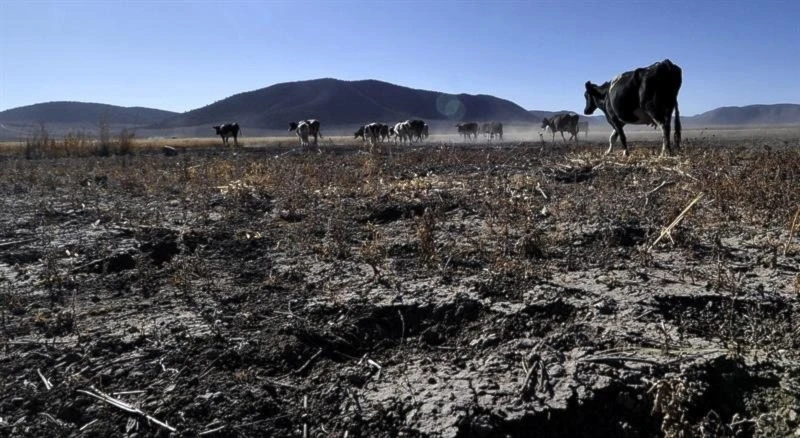 Comienza en Colombia foro regional sobre metas climáticas del 2030