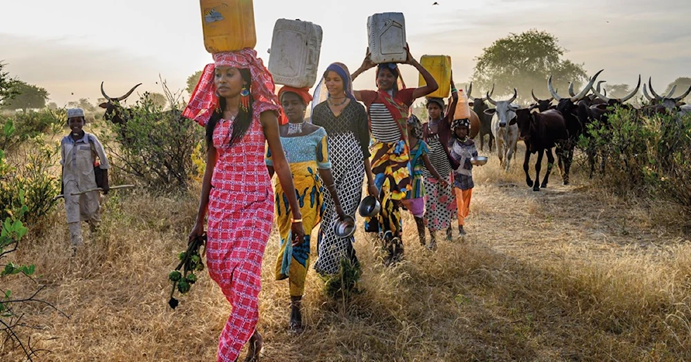 Proyectos sociales en Chad fomentan acceso de mujeres a tierras