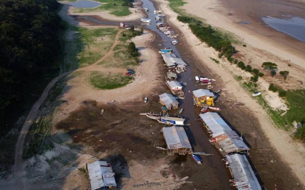 Brasil: emergencia climática ante bajo nivel de afluente del Amazonas