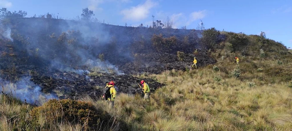 Ecuador azotada por incendios forestales en medio de fuerte sequía