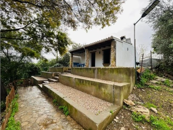 ¿Están vacías las casas en el Uruguay?