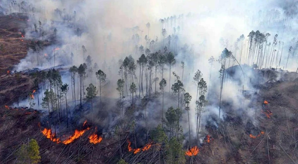 Paraguay en emergencia por incendios que devastaron 14 mil hectáreas