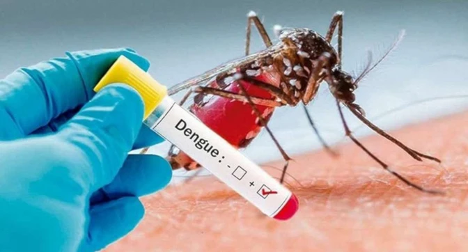 Dengue provocó más de 6.000 muertes en Brasil en 2024