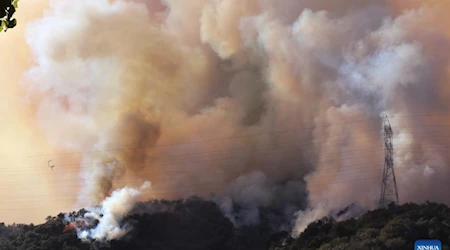 Histórico incendio en Los Ángeles deja al menos 24 muertos y emergencia sanitaria continúa