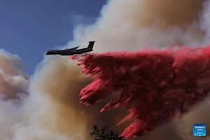 Histórico incendio en Los Ángeles deja al menos 24 muertos y emergencia sanitaria continúa