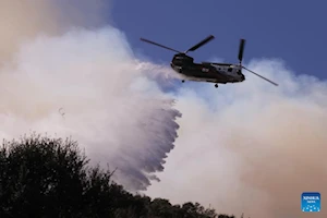 Histórico incendio en Los Ángeles deja al menos 24 muertos y emergencia sanitaria continúa