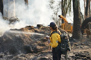 Bomberos luchan contra las llamas durante los recientes incendios en California, la peor catástrofe en ese estado en décadas