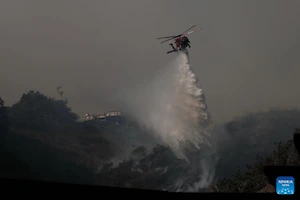 Histórico incendio en Los Ángeles deja al menos 24 muertos y emergencia sanitaria continúa