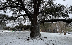 La ciudad estadounidense de Nueva Orleans despierta cubierta de nieve: el fenómeno más sorprendente desde 2009