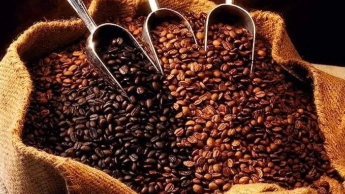 India, séptimo productor de café a nivel mundial