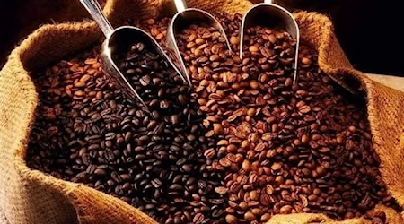 India sobresale hoy como el séptimo productor de café a nivel mundial.