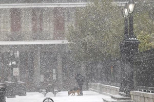 La ciudad estadounidense de Nueva Orleans despierta cubierta de nieve: el fenómeno más sorprendente desde 2009