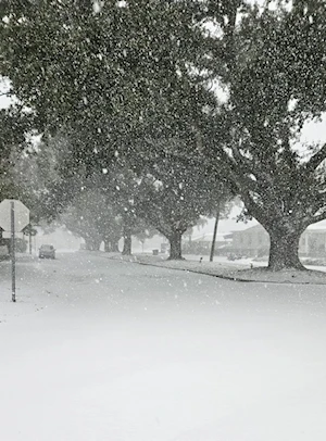 La ciudad estadounidense de Nueva Orleans despierta cubierta de nieve: el fenómeno más sorprendente desde 2009