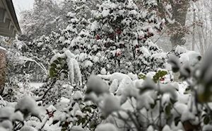 La ciudad estadounidense de Nueva Orleans despierta cubierta de nieve: el fenómeno más sorprendente desde 2009