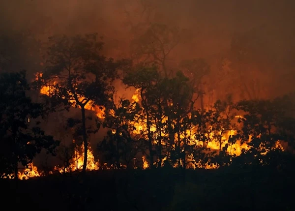 Incendios carbonizan 60.000 hectáreas en Paraguay