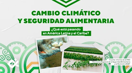 Cambio climático y seguridad alimentaria