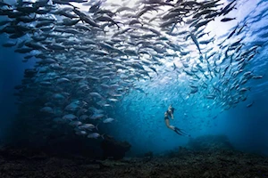 Ganadores y finalistas del premio Fotógrafo de Viajes del Año 2024