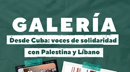 Durante la segunda jornada de la VI Conferencia Internacional por Equilibrio del Mundo, en Cuba, este miércoles se realizó un conversatorio en respaldo a los hermanos pueblos de Palestina y Líbano. Fotos: Christian Suárez Castro