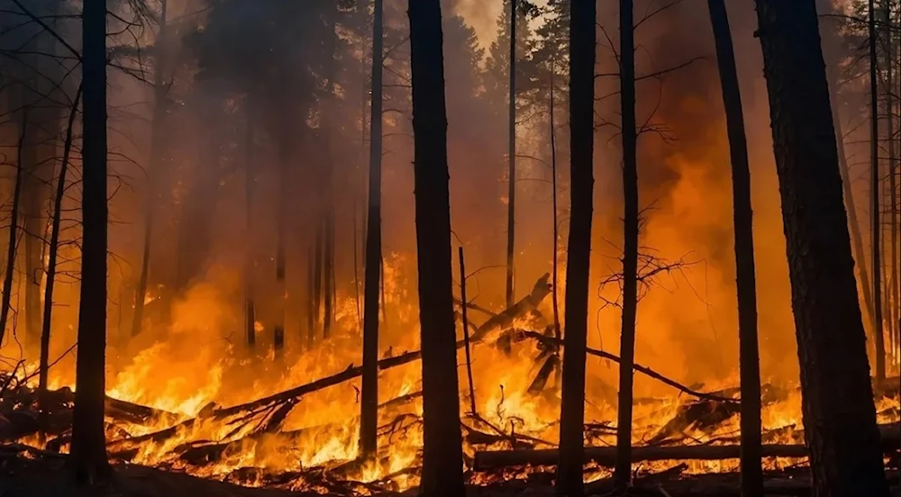 Evacuaciones urgentes por un nuevo incendio en la Patagonia Argentina