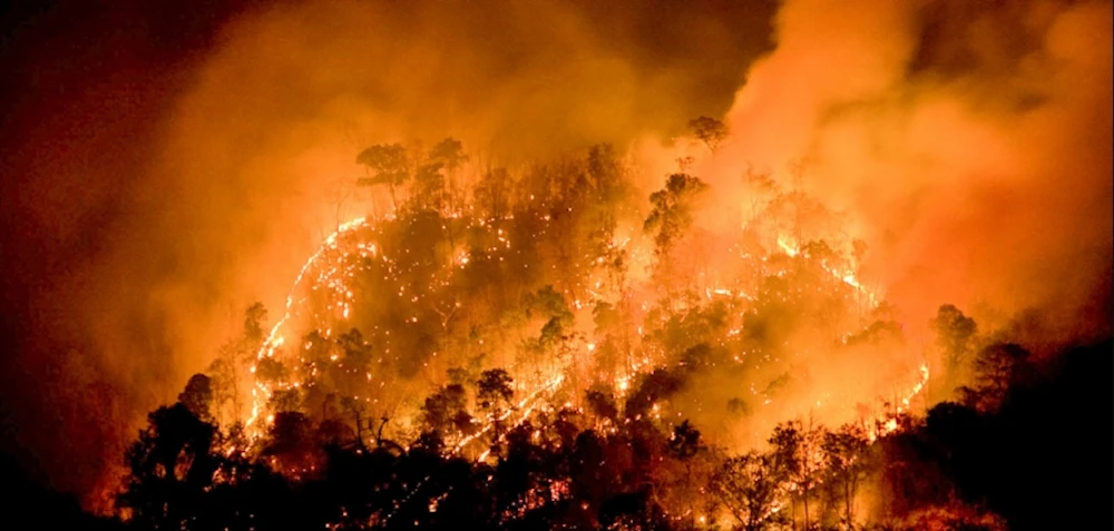 Más de 11 mil hectáreas en llamas y 14 arrestos por incendios en Chile