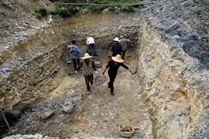 Histórico: Científicos chinos desenterraron en la provincia oriental china de Fujian el fósil más antiguo de ave de cola corta