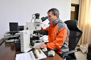 Histórico: Científicos chinos desenterraron en la provincia oriental china de Fujian el fósil más antiguo de ave de cola corta