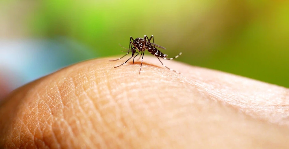OPS alerta por casos graves de dengue asociados al DENV-3 en América
