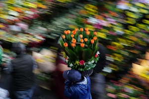 Amor y amistad: Con flores, peluches y mucho cariño, el mundo celebró este 14 de febrero, Día de San Valentín