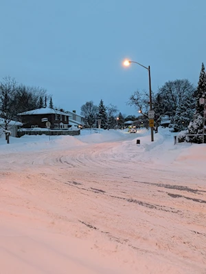 Frío invernal: Intensa nevada en Toronto paralizó a la ciudad