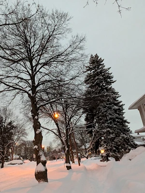 Frío invernal: Intensa nevada en Toronto paralizó a la ciudad