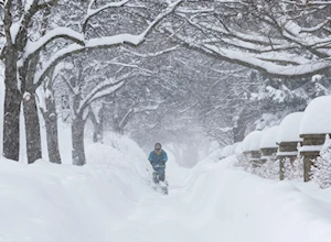 Frío invernal: Intensa nevada en Toronto paralizó a la ciudad