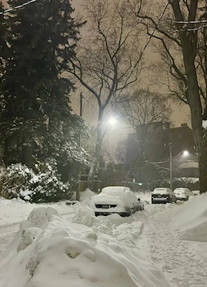 Frío invernal: Intensa nevada en Toronto paralizó a la ciudad