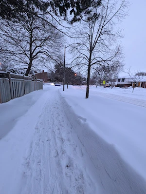 Frío invernal: Intensa nevada en Toronto paralizó a la ciudad