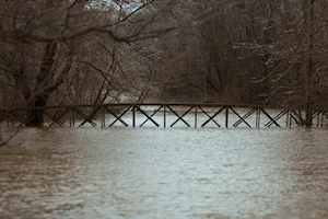 Las intensas lluvias y vientos huracanados han dejado un rastro de destrucción en Kentucky, con calles convertidas en ríos, al menos 11 muertos y más de 1.000 personas rescatadas en el sureste de EE.UU.