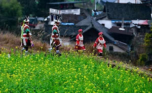 Color, tradición y música en el Festival Gannangxiang: la celebración centenaria del pueblo Miao en Guizhou, China