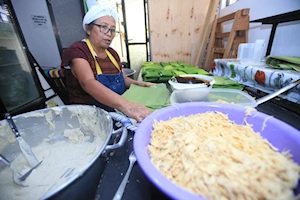 Experiencia gastronómica única: Encuentro de Sabores Tamaleros en México para celebrar el Día de la Candelaria